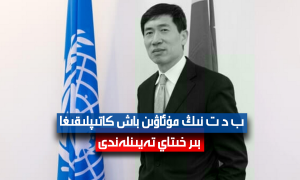 ب د ت نىڭ مۇئاۋىن باش كاتىپلىقىغا بىر خىتاي تەيىنلەندى
