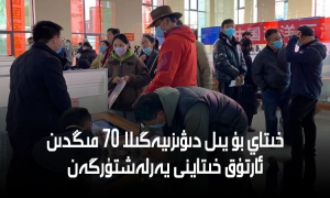 خىتاي بۇ يىل دىۋىزىيەگىلا 70 مىڭدىن ئارتۇق خىتاينى يەرلەشتۈرگەن