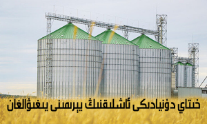 خىتاي دۇنيادىكى ئاشلىقنىڭ يېرىمىنى يىغىۋالغان