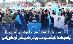 تۈركىيەدە غۇلجا قەتلىئامىنى خاتىرىلەش ۋە بېيجىڭ ئولىمپىكىغا قارشىلىق بىلدۈرۈش نامايىشى ئۆتكۈزۈلدى