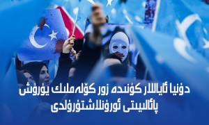 دۇنيا ئاياللار كۈنىدە زور كۆلەملىك يۈرۈش پائالىيىتى ئورۇنلاشتۇرۇلدى