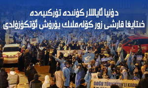دۇنيا ئاياللار كۈنىدە تۈركىيەدە خىتايغا قارشى زور كۆلەملىك يۈرۈش ئۆتكۈزۈلدى