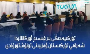 تۈركىيەدىكى بىر قىسىم ئورگانلاردا شەرقىي تۈركىستان ۋەزىيىتى تونۇشتۇرۇلدى