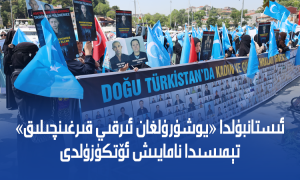 ئىستانبۇلدا «يوشۇرۇلغان ئىرقىي قىرغىنچىلىق» تېمىسىدا نامايىش ئۆتكۈزۈلدى