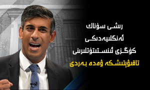 رىشى سۇناك ئەنگلىيەدىكى كۇڭزى ئىنستىتۇتلىرىنى تاقىۋېتىشكە ۋەدە بەردى