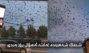 شىنىڭ شەھىرىدە غەلىتە ئەھۋال يۈز بەردى