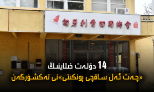 14 دۆلەت خىتاينىڭ «چەت ئەل ساقچى پونكىتى»نى تەكشۈرگەن