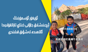 ئۇيغۇر ئۆسمۈرنىڭ ئېچىنىشلىق جاۋابى خىتاي تاراتقۇلىرىدا ئالاھىدە تەشۋىق قىلىندى
