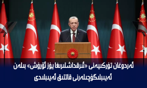 ئەردوغان تۈركىيەنى «ئىرقداشلىرىغا يۈز ئۆرۈش» بىلەن ئەيىبلىگۈچىلەرنى قاتتىق ئەيىبلىدى