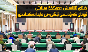 خىتاي ئاتالمىش «جۇڭخۇا مىللىتى ئورتاق گەۋدىسى ئېڭى»نى قايتا تەكىتلىدى