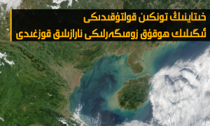 خىتاينىڭ تونكىن قولتۇقىدىكى ئىگىلىك ھوقۇق زومىگەرلىكى نارازىلىق قوزغىدى