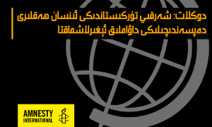 دوكلات: شەرقىي تۈركىستاندىكى ئىنسان ھەقلىرى دەپسەندىچىلىكى داۋاملىق ئېغىرلاشماقتا