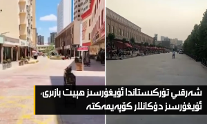 شەرقىي تۈركىستاندا ئۇيغۇرسىز ھېيت بازىرى، ئۇيغۇرسىز دۇكانلار كۆپەيمەكتە