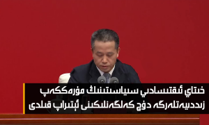 خىتاي ئىقتىسادىي سىياسىتىنىڭ مۇرەككەپ زىددىيەتلەرگە دۇچ كەلگەنلىكىنى ئېتىراپ قىلدى