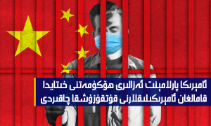 ئامېرىكا پارلامېنت ئەزالىرى ھۆكۈمەتنى خىتايدا قامالغان ئامېرىكىلىقلارنى قۇتقۇزۇشقا چاقىردى