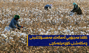 كانادا مەجبۇرىي ئەمگەك مەھسۇلاتلىرىنى چەكلەشنى كۈچەيتمەكچى