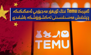 ئامېرىكا Temu نىڭ ئۇيغۇر مەجبۇرىي ئەمگىكىگە چېتىلىش مەسىلىسىنى تەكشۈرۈشكە باشلىدى