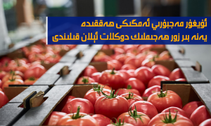 ئۇيغۇر مەجبۇرىي ئەمگىكى ھەققىدە يەنە بىر زور ھەجىملىك دوكلات ئېلان قىلىندى