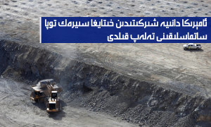 ئامېرىكا دانىيە شىركىتىدىن خىتايغا سىيرەك توپا ساتماسلىقىنى تەلەپ قىلدى