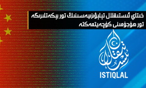 خىتاي ئىستىقلال تېلېۋىزىيەسىنىڭ تور بېكەتلىرىگە تور ھۇجۇمىنى كۈچەيتمەكتە
