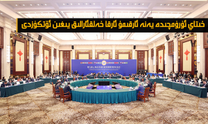 خىتاي ئۈرۈمچىدە يەنە ئارقىمۇ ئارقا خەلقئارالىق يىغىن ئۆتكۈزدى
