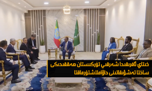 خىتاي ئافرىقىدا شەرقىي تۈركىستان ھەققىدىكى ساختا تەشۋىقاتىنى داۋاملاشتۇرماقتا