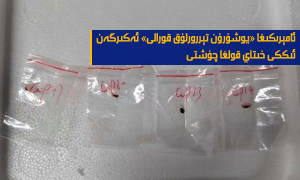 ئامېرىكىغا «يوشۇرۇن تېررورلۇق قورالى» ئەكىرگەن ئىككى خىتاي قولغا چۈشتى