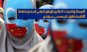 ئامېرىكا پارلامېنت ئەزالىرى ئۇيغۇر ئىرقىي قىرغىنچىلىقىغا ئالاقىدار قانۇن لايىھەسى سۇندى