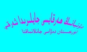 شەرقىي تۈركسىتان دەۋاسى دۇنيانىڭ ھەر قايىسى جايلىرىدا جانلانماقتا