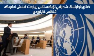خىتاي باچلېتنىڭ شەرقىي تۈركىستاننى زىيارەت قىلىش تەلىپىگە ئىنكاس قايتۇردى