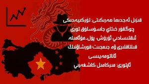 قىزىل ئەجدىھا ھەرىكىتى: تۈركىيەدىكى چوڭقۇر خىتاي جاسۇسلۇق تورى